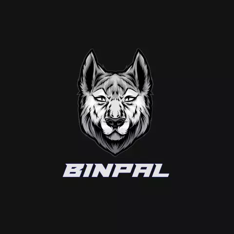 Name DP: binpal