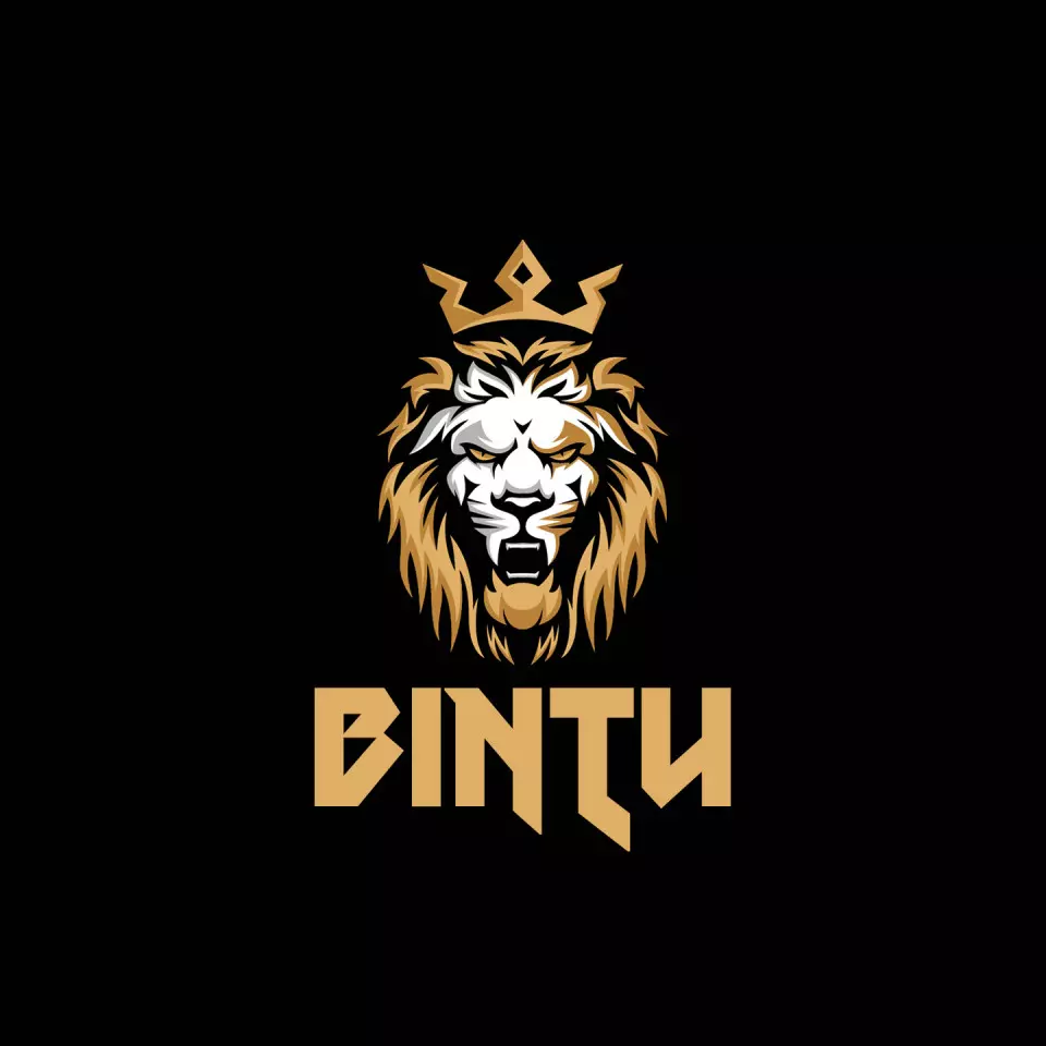 Name DP: bintu