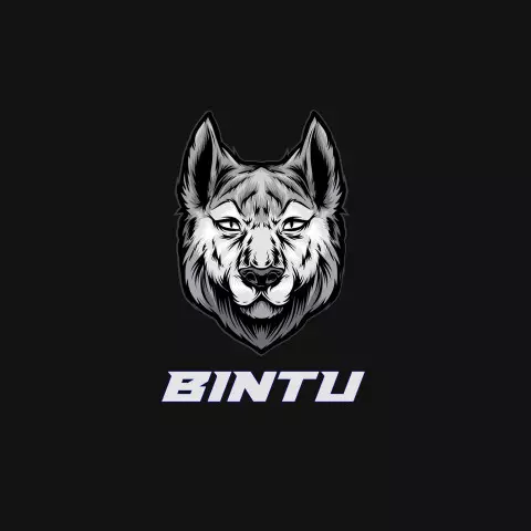 Name DP: bintu
