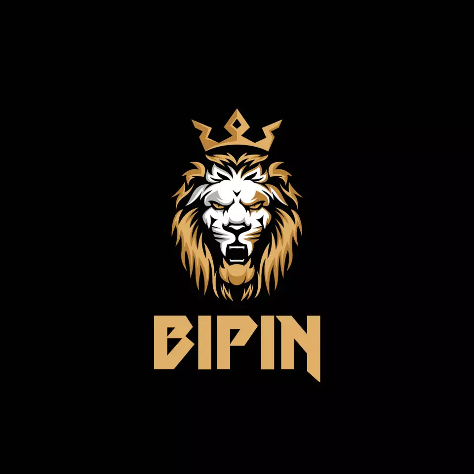 Name DP: bipin