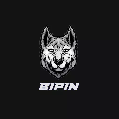 Name DP: bipin