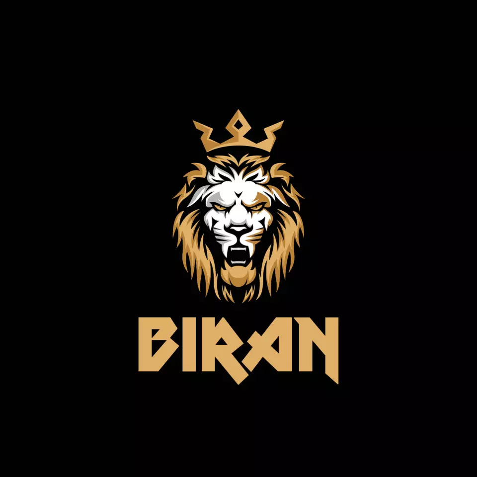 Name DP: biran