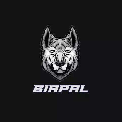Name DP: birpal