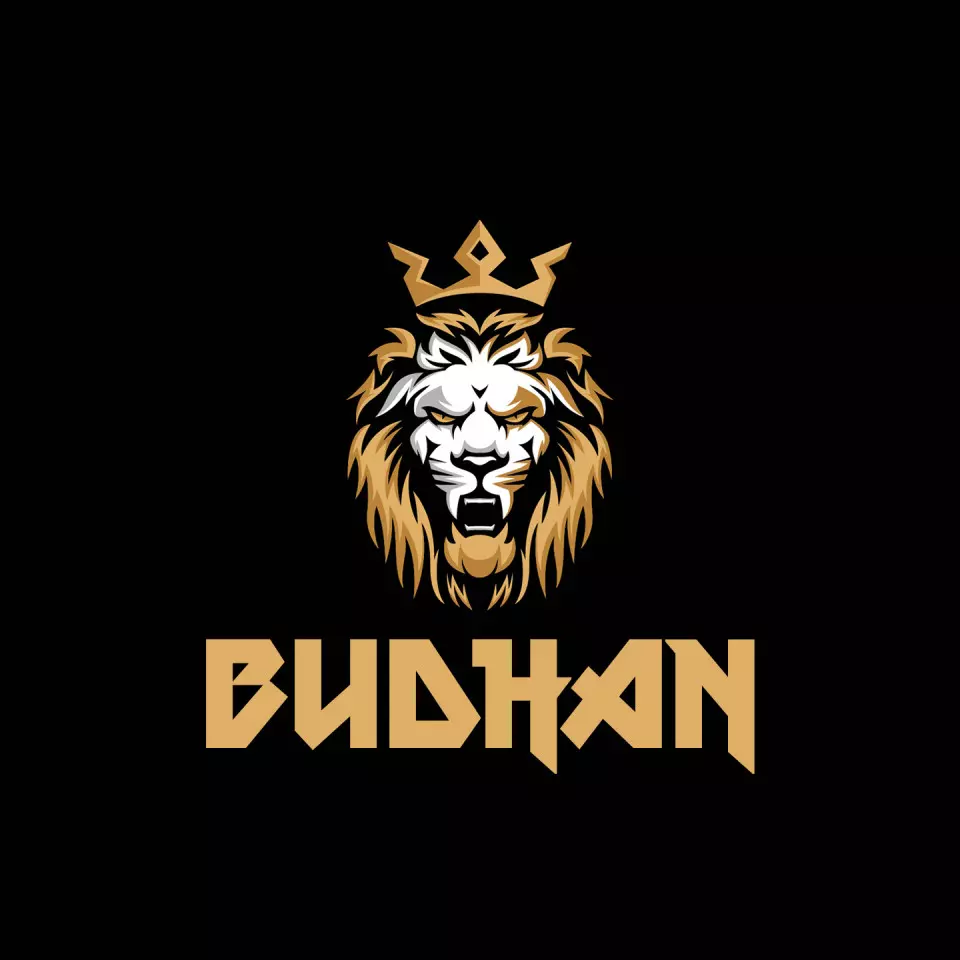 Name DP: budhan