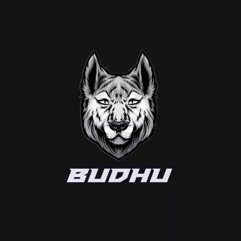 Name DP: budhu