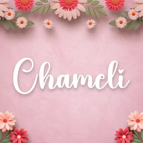 Name DP: chameli