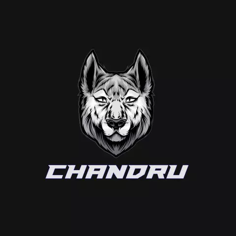 Name DP: chandru