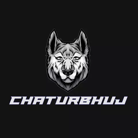 Name DP: chaturbhuj