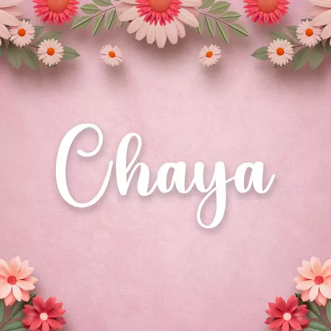 Name DP: chaya
