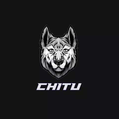 Name DP: chitu