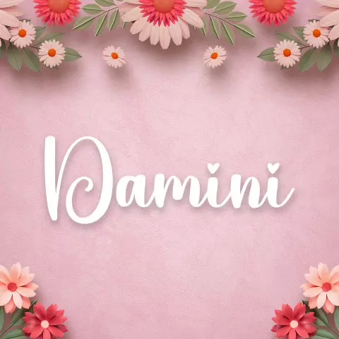 Name DP: damini