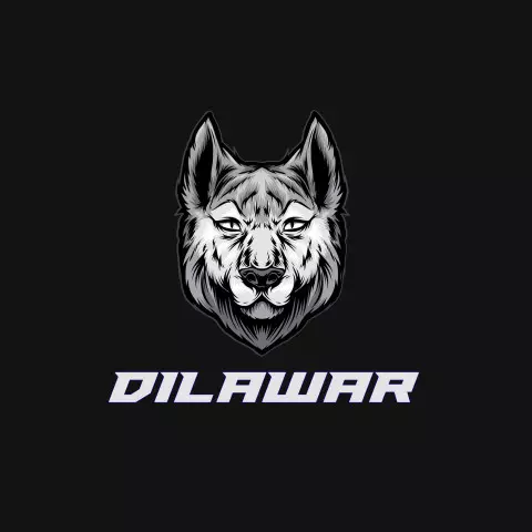 Name DP: dilawar