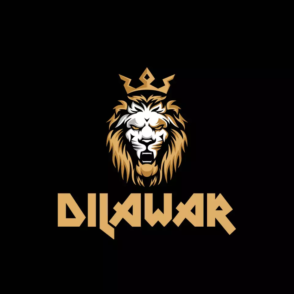 Name DP: dilawar