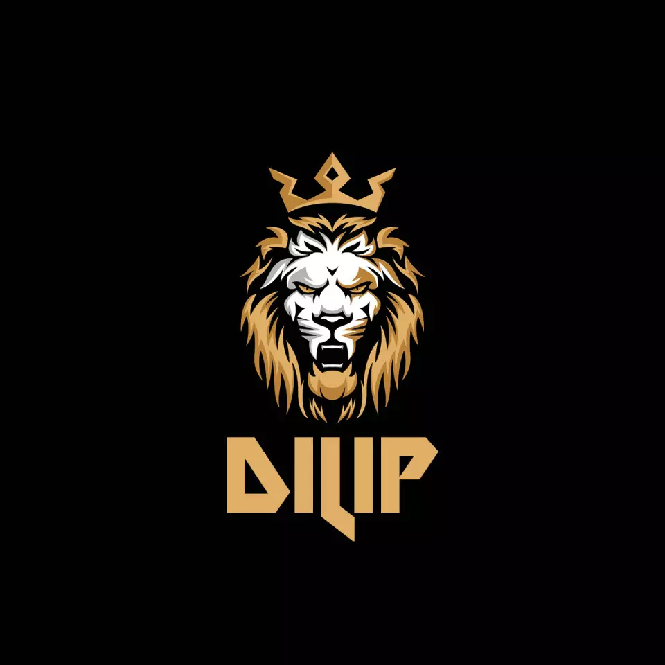 Name DP: dilip