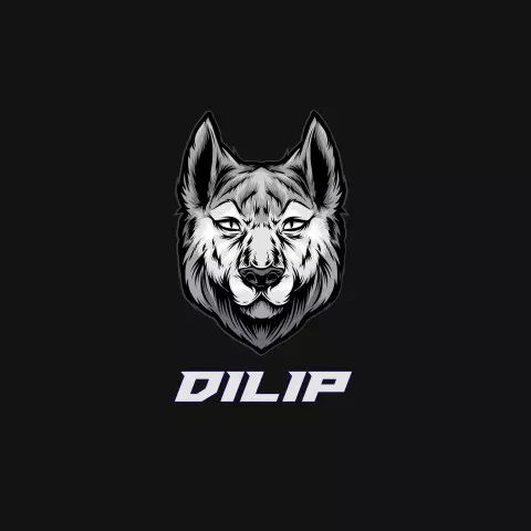 Name DP: dilip