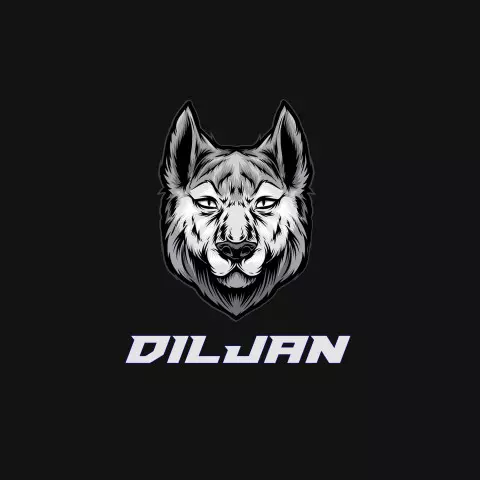 Name DP: diljan