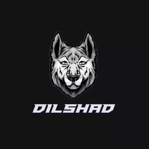 Name DP: dilshad