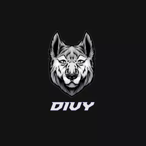 Name DP: divy