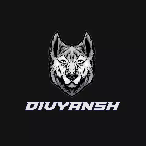 Name DP: divyansh