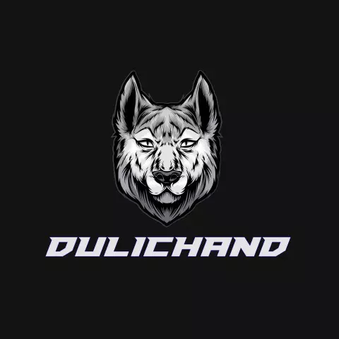 Name DP: dulichand