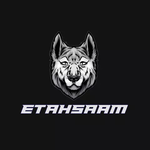 Name DP: etahsaam