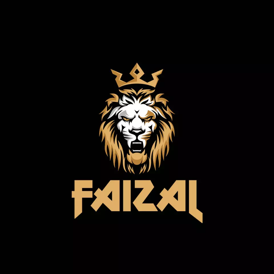 Name DP: faizal