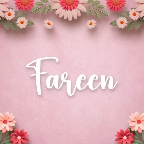 Name DP: fareen