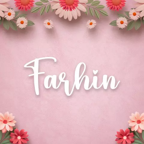 Name DP: farhin