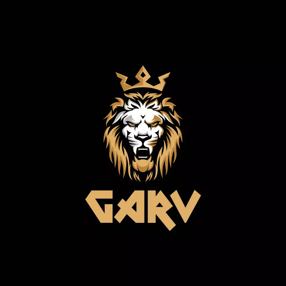 Name DP: garv