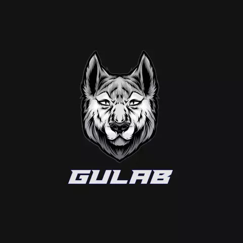 Name DP: gulab