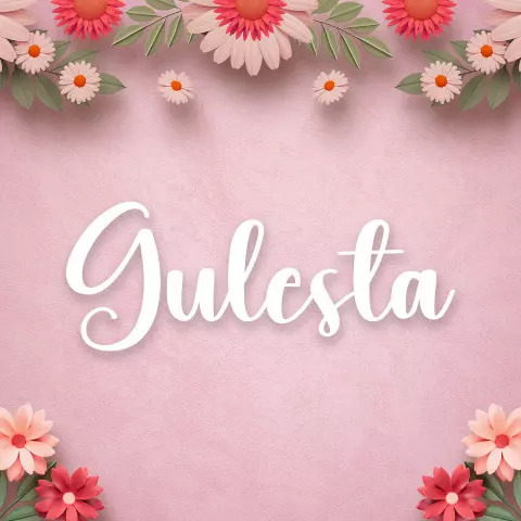 Name DP: gulesta