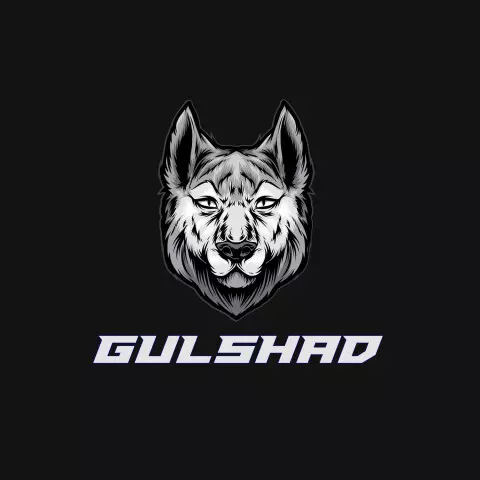 Name DP: gulshad