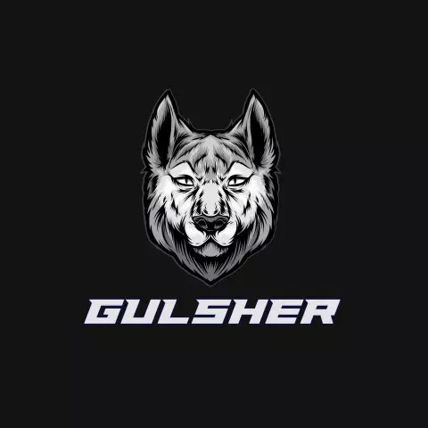 Name DP: gulsher