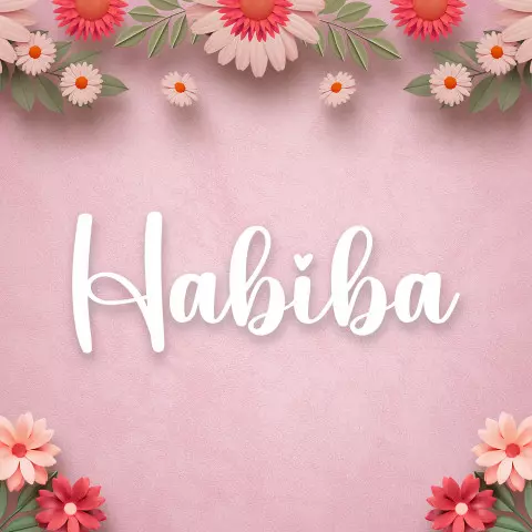Name DP: habiba