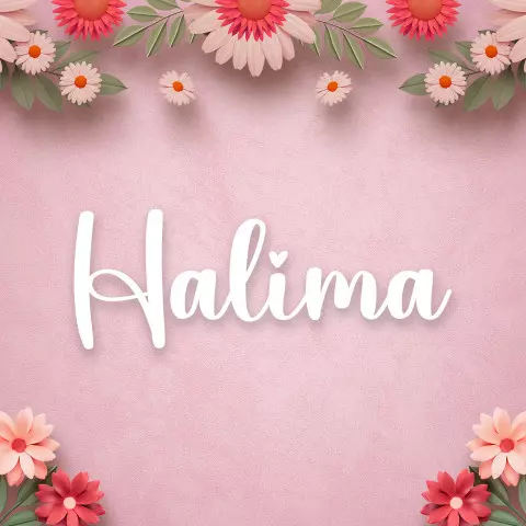 Name DP: halima