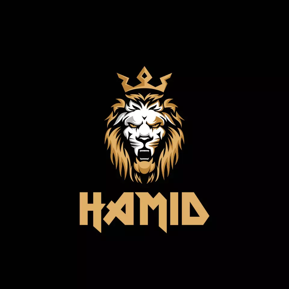 Name DP: hamid