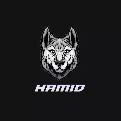 Name DP: hamid
