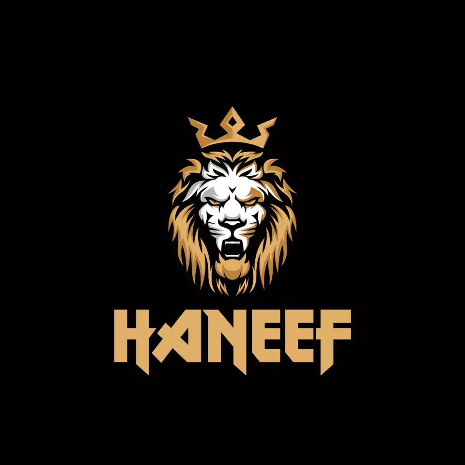 Name DP: haneef