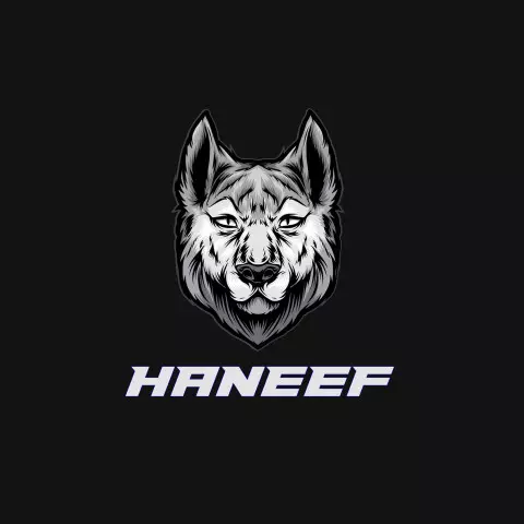 Name DP: haneef