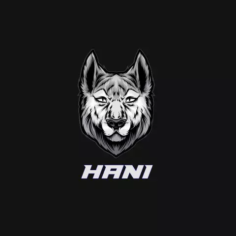 Name DP: hani