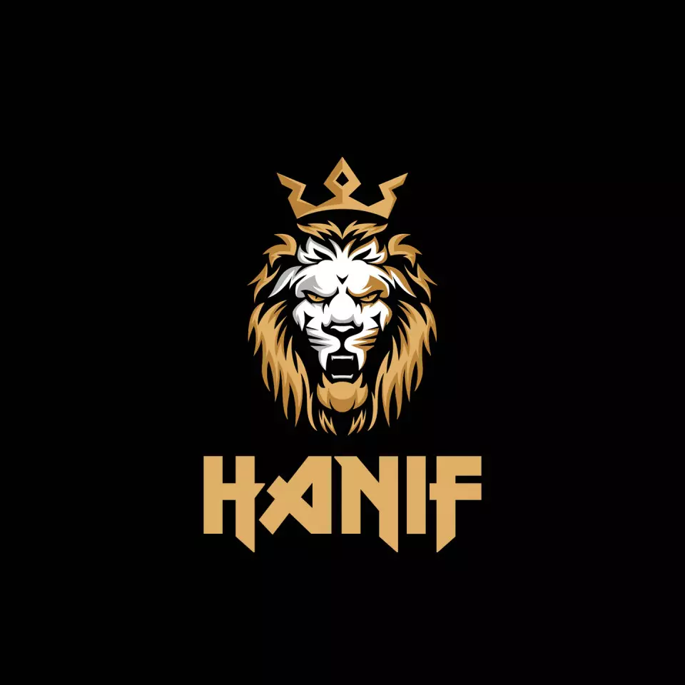 Name DP: hanif