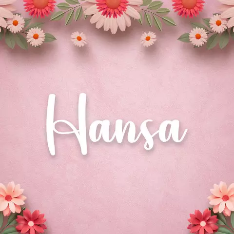 Name DP: hansa