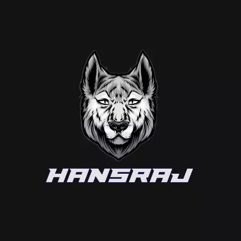 Name DP: hansraj