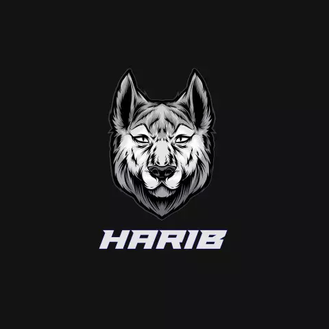 Name DP: harib