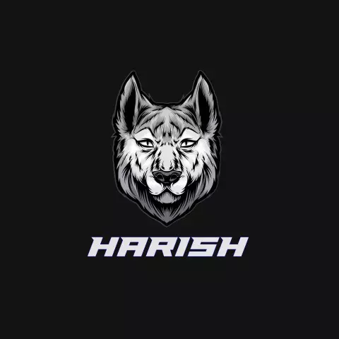 Name DP: harish