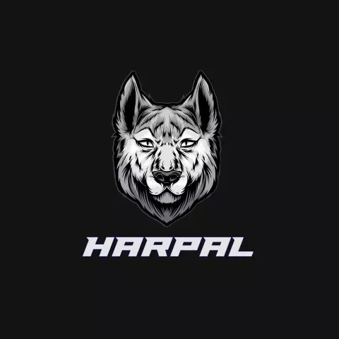 Name DP: harpal