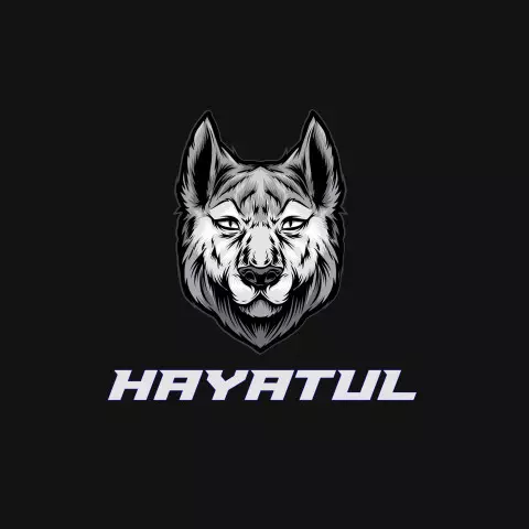 Name DP: hayatul