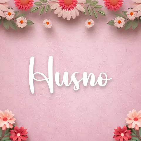Name DP: husno
