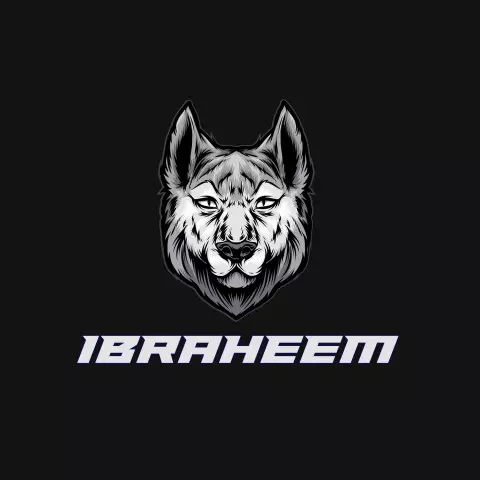 Name DP: ibraheem
