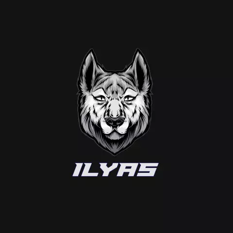 Name DP: ilyas